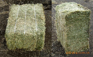 供应紫花苜蓿草捆；草块；草颗粒；甜菜粕；棉粕；玉米