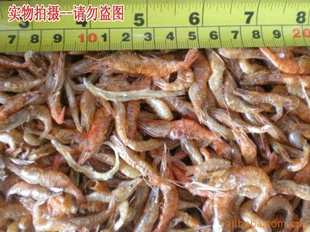 安徽特产水产品【清水河虾】 大干虾批发