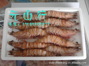 斑节虾