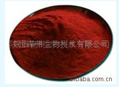 厂家特价供应优质大枣提取物